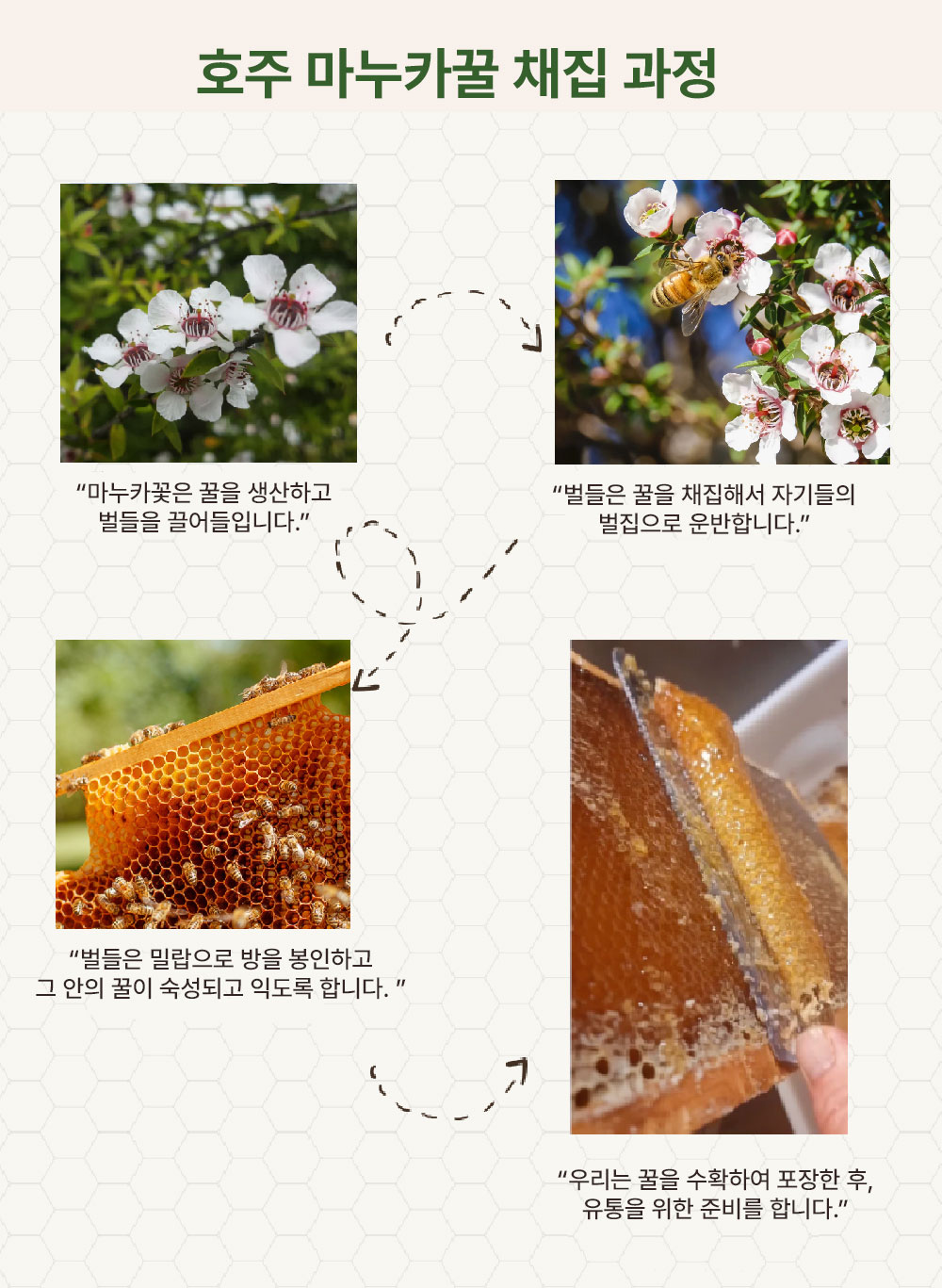 꽃과 벌, 채집·수확·포장 과정